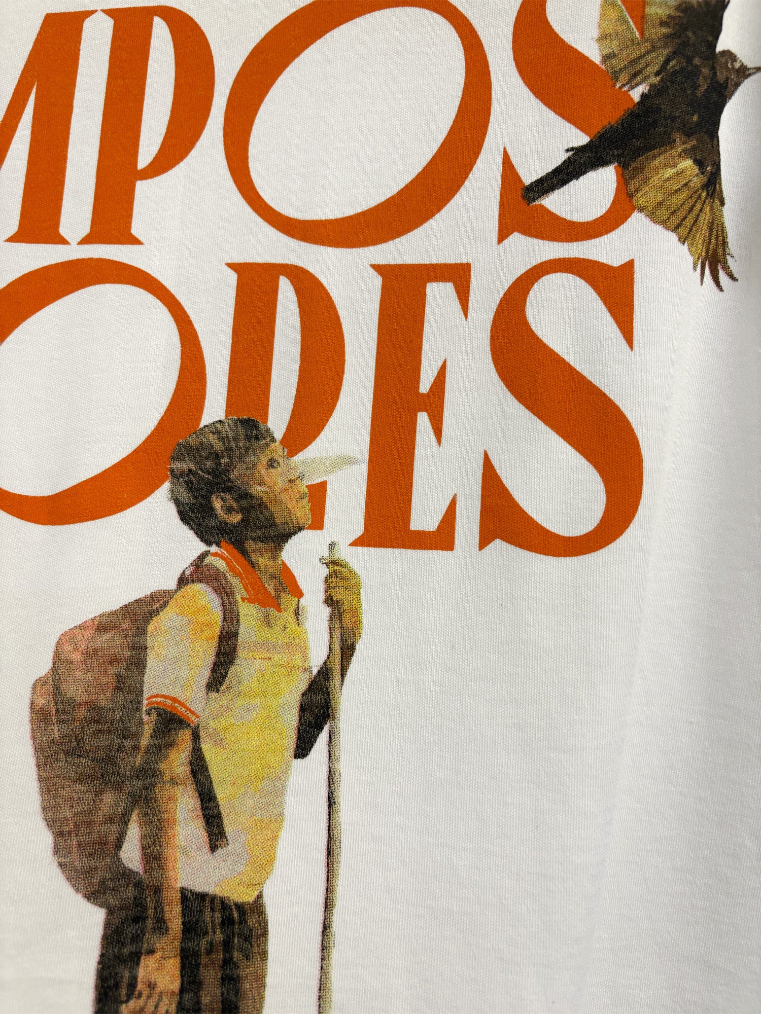 Libertad / Polo